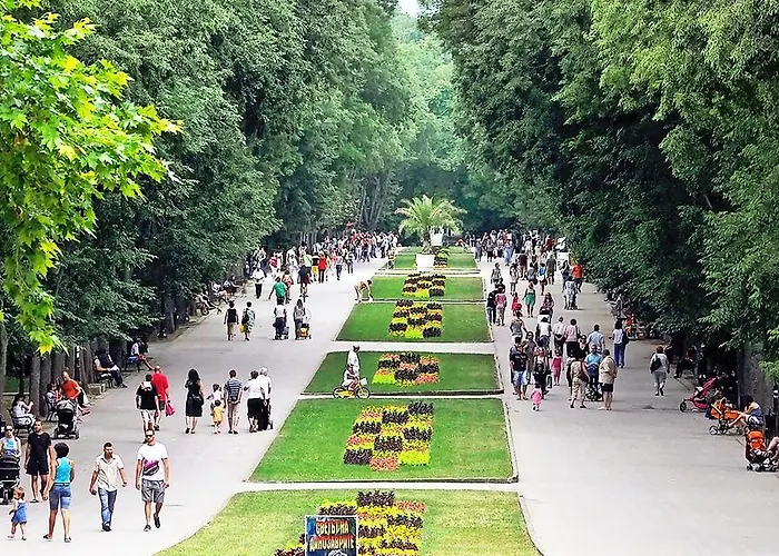 Homex #varna-center *